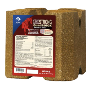 ADM Equine Grostrong Quad Block