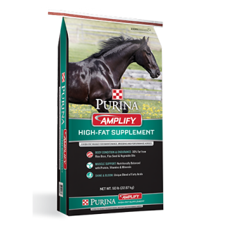 Purina Amplify High-Fat Horse Supplement