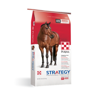Purina Strategy Professional Formula GX Horse Feed