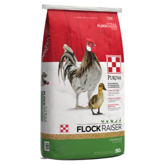 Purina Flock Raiser Crumbles