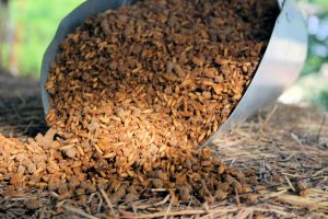 How to Feed Horses. Metal grain scoop with sweet feed.