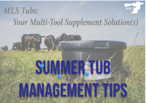 Summer Tub Management Tips for MLS Tubs