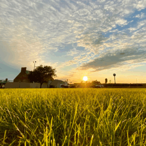 Mid-Summer Farm pictured as sun sets